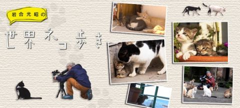 岩合光昭の猫步走世界~巴厘岛